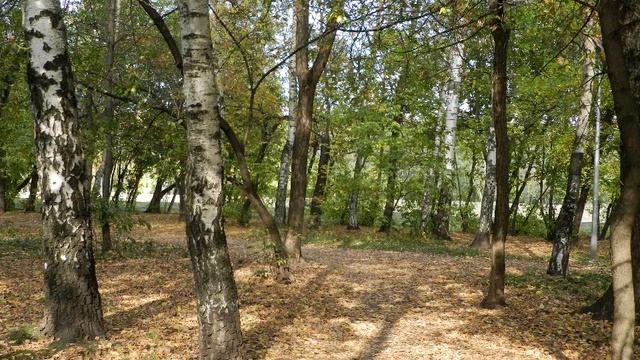 Неопалимая Купина - Охота