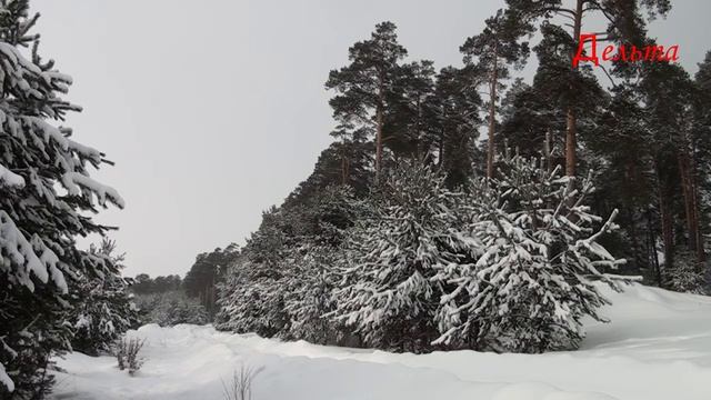 Зимняя зарисовка г. Краснокамск (Февраль2015)