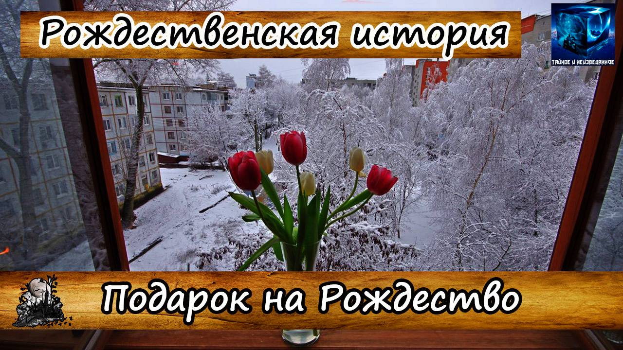 Подарок на Рождество - Мистические истории
