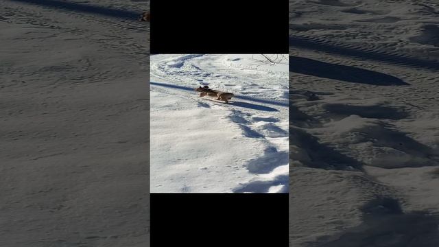 На прогулке