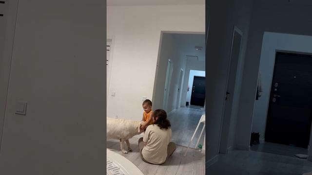 Дети веселятся 😁 с собакой