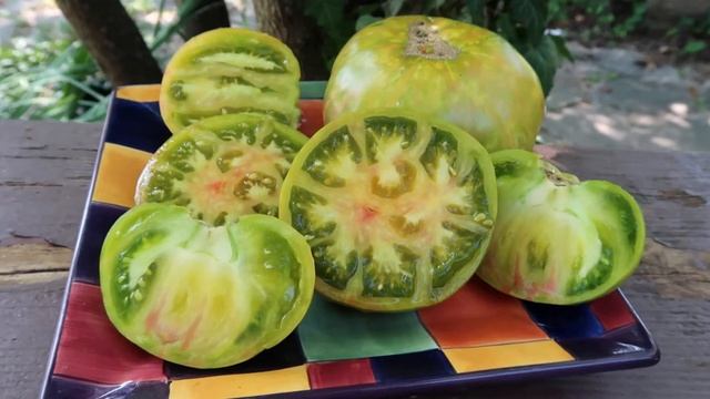 Beautiful Ananas Zebra Tomato. Production, Production, Production!