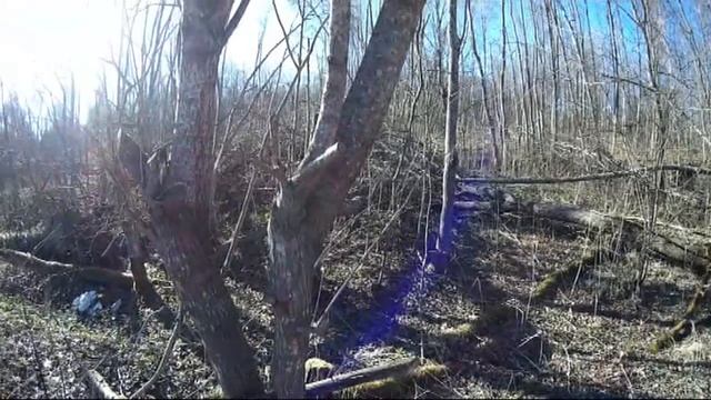 Наша  Дорога в Деревне - Весна - 2018