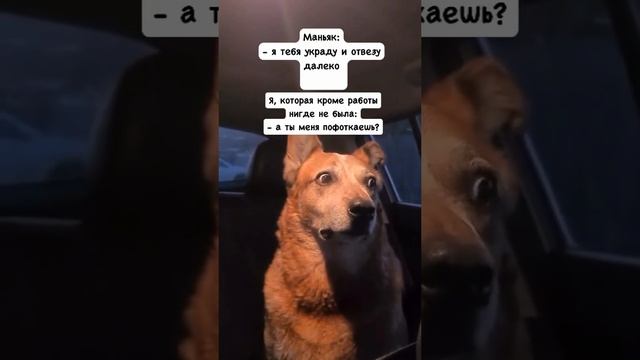 1000389690.mp4