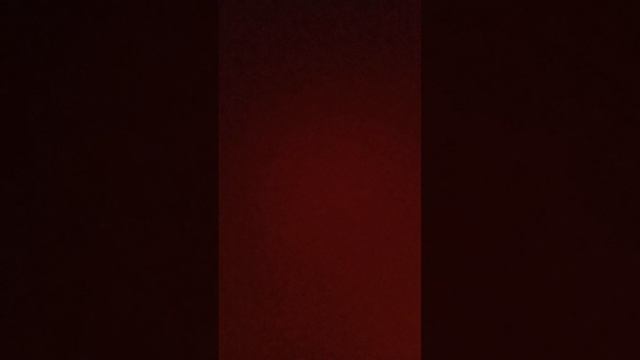 scene_output.mp4
