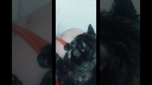 1000171876.mp4