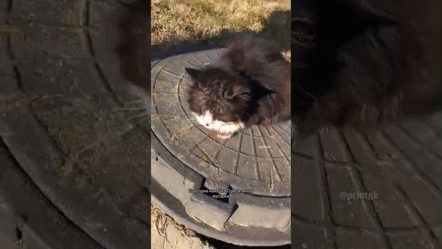 Две находки