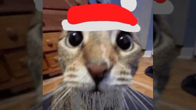 С Новым Годом и Рождеством!!