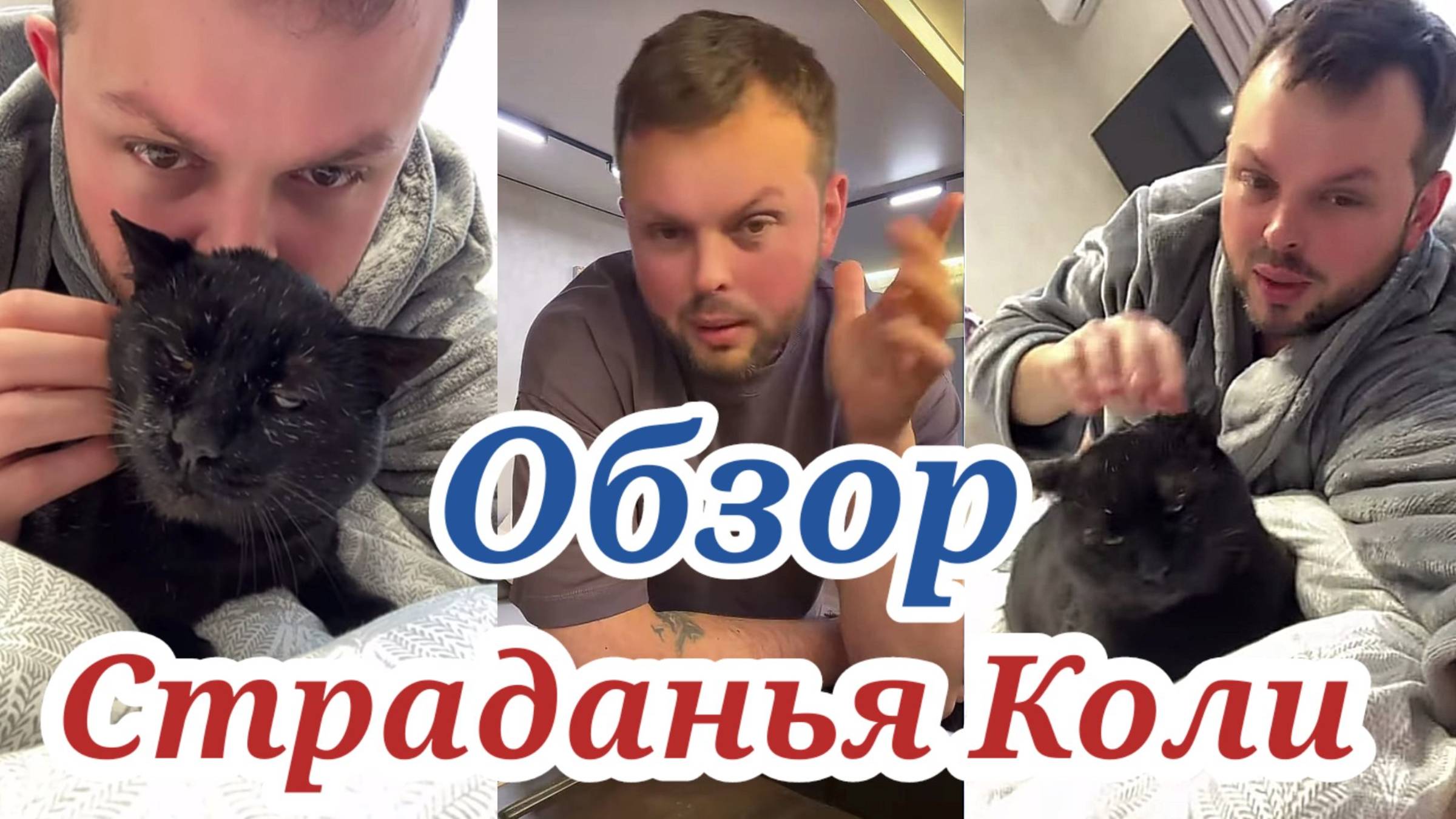 Страданья Коли. Обзор