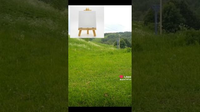 Like_7455341015433985912.mp4