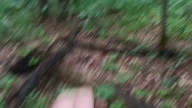 #Коп в лесу