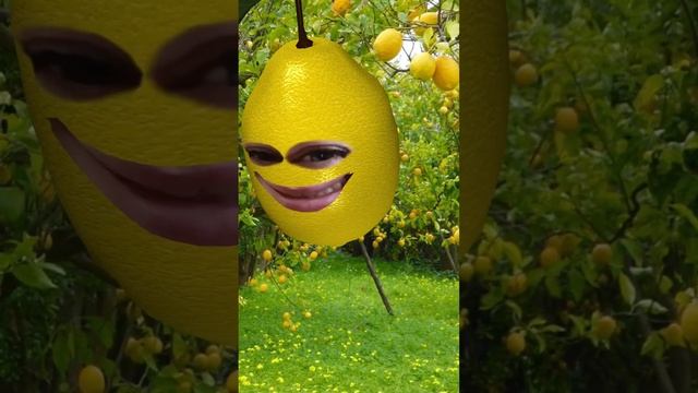 Любите лимончик?  #лимончелло #лимончики #лимон #lemon