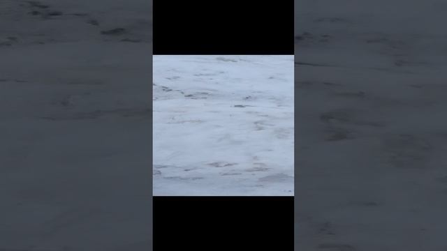 VID_20250105_143911.mp4