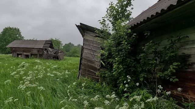 Она прожила тут всю жизнь и не хочет бросать свой дом.Неожиданная встреча в заброшенной деревне