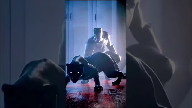 1000004862.mp4