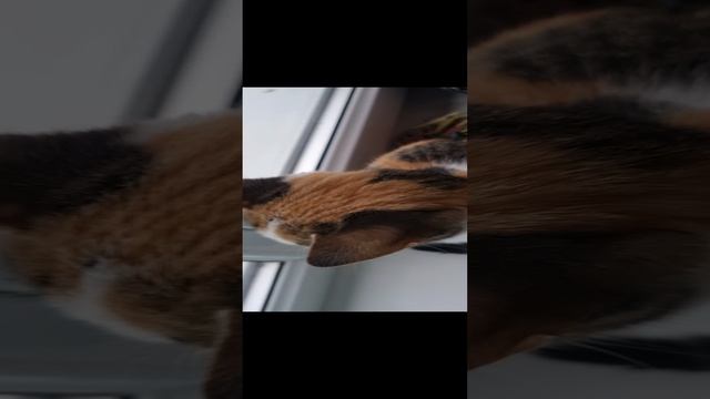 1000147149.mp4