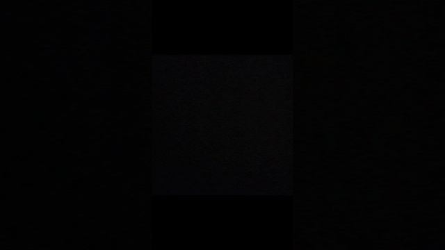 VID_20241101_233846.mp4