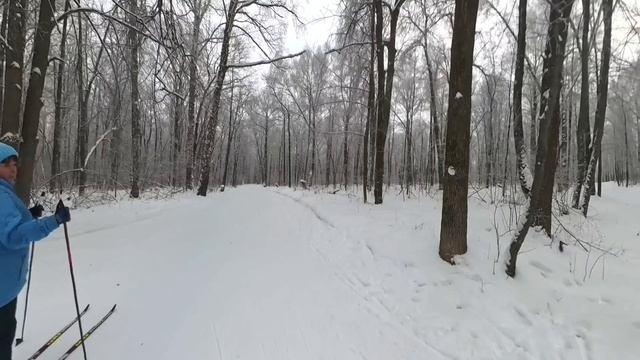 Лыжники 29.12.2024 Арбековский лес г.Пенза