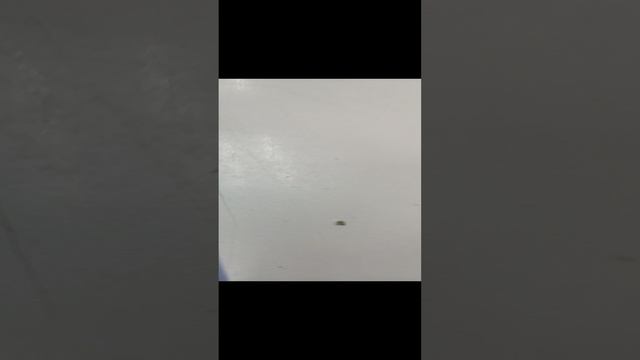 1000023653.mp4