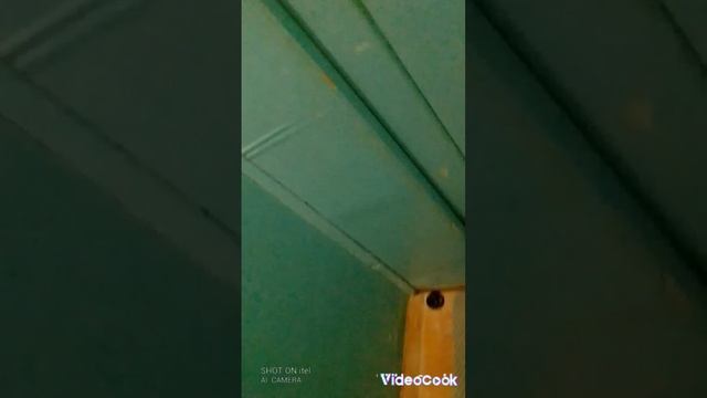 КЕГА ЭТО ОПАСНО