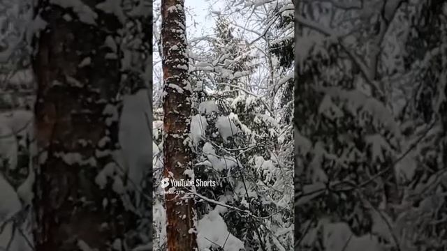 Новогодняя