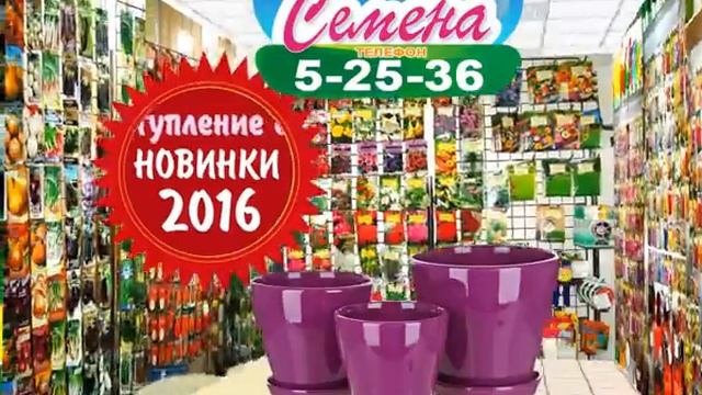 г. Шадринск, сеть магазинов "Семена"