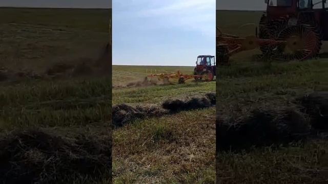 Сенокос Трактор🚜 Т-25