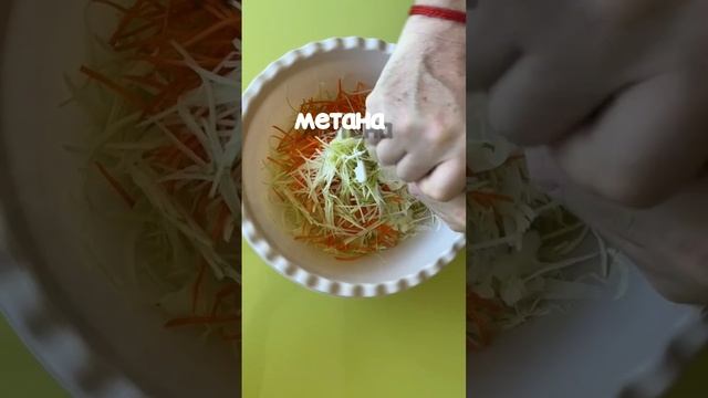 Салат из капусты КОУЛ СЛОУ / Coleslaw #coleslawsalad #коулслоу #салат #капуста
