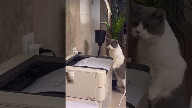 1000070513.mp4