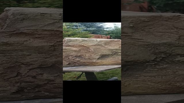 Искусственный камень из цемента.