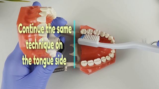 How to Brush Like A Dentist in 5 Simple Steps!