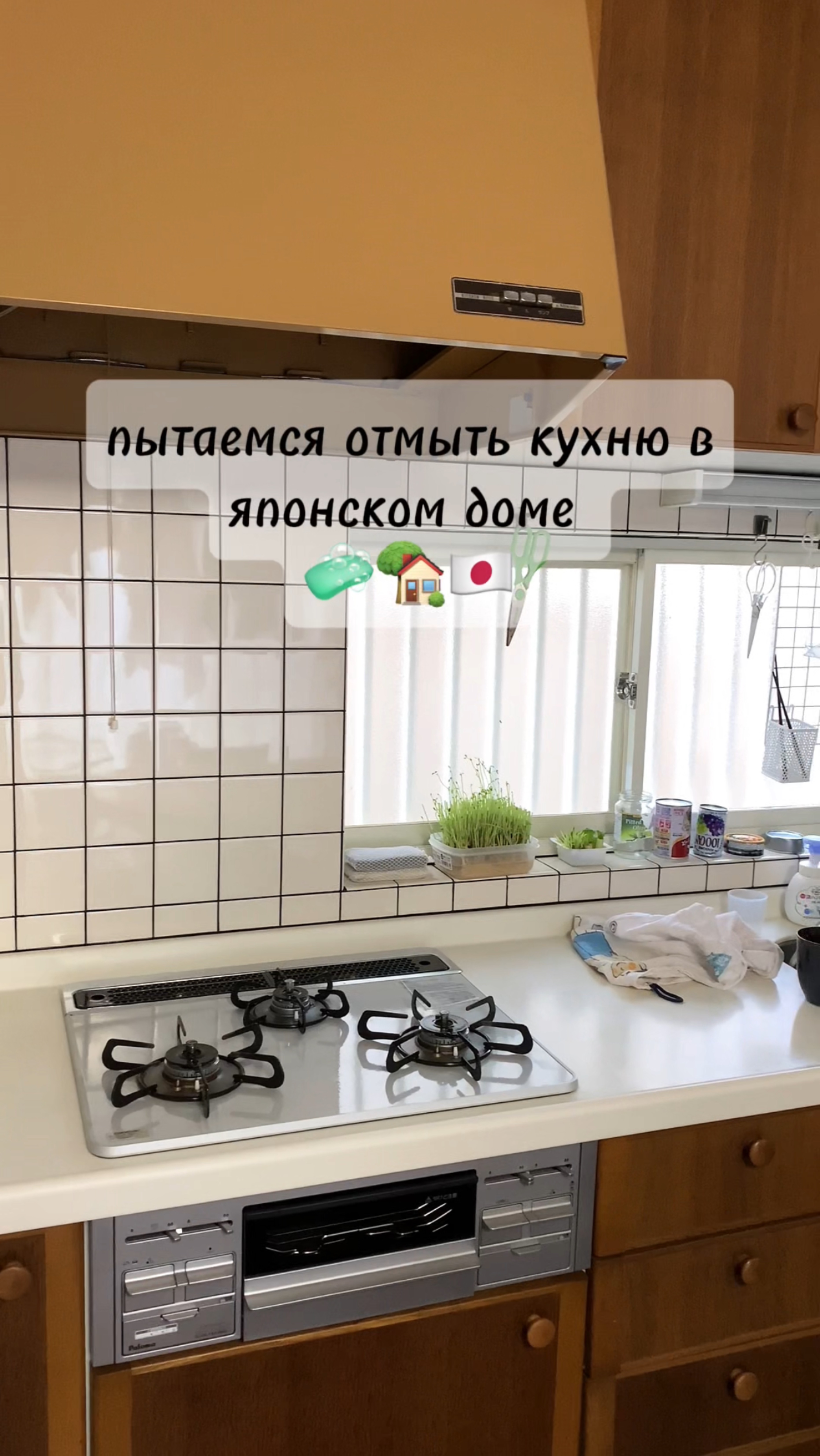 пытаемся отмыть кухню в японском доме