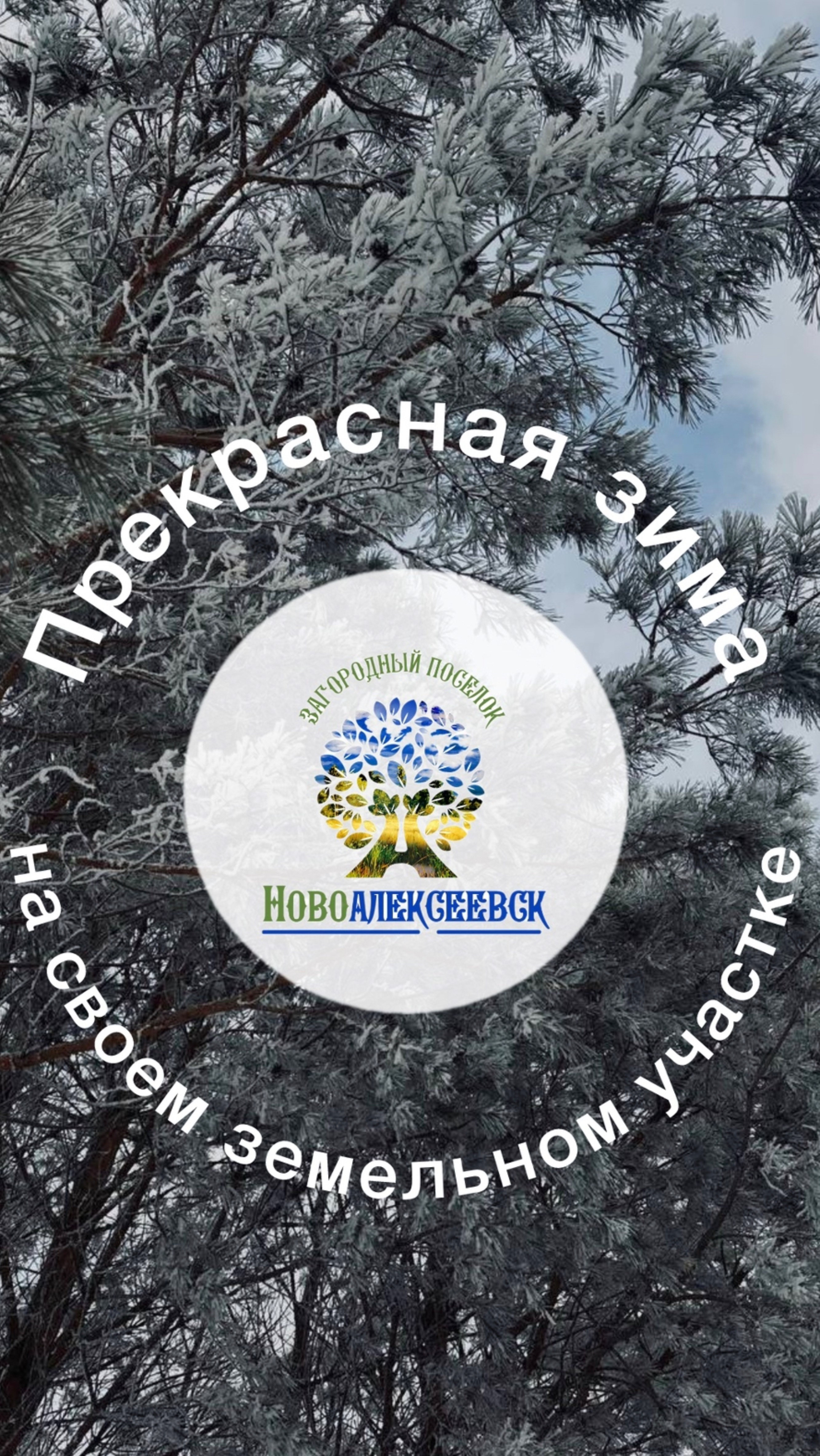 Прекрасная зима в загородном поселке ИЖС Новоалексеевск https://clck.ru/3FE57B
