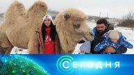«Сегодня»: 6 января 2025 года. 10:00 | Выпуск новостей | Новости НТВ