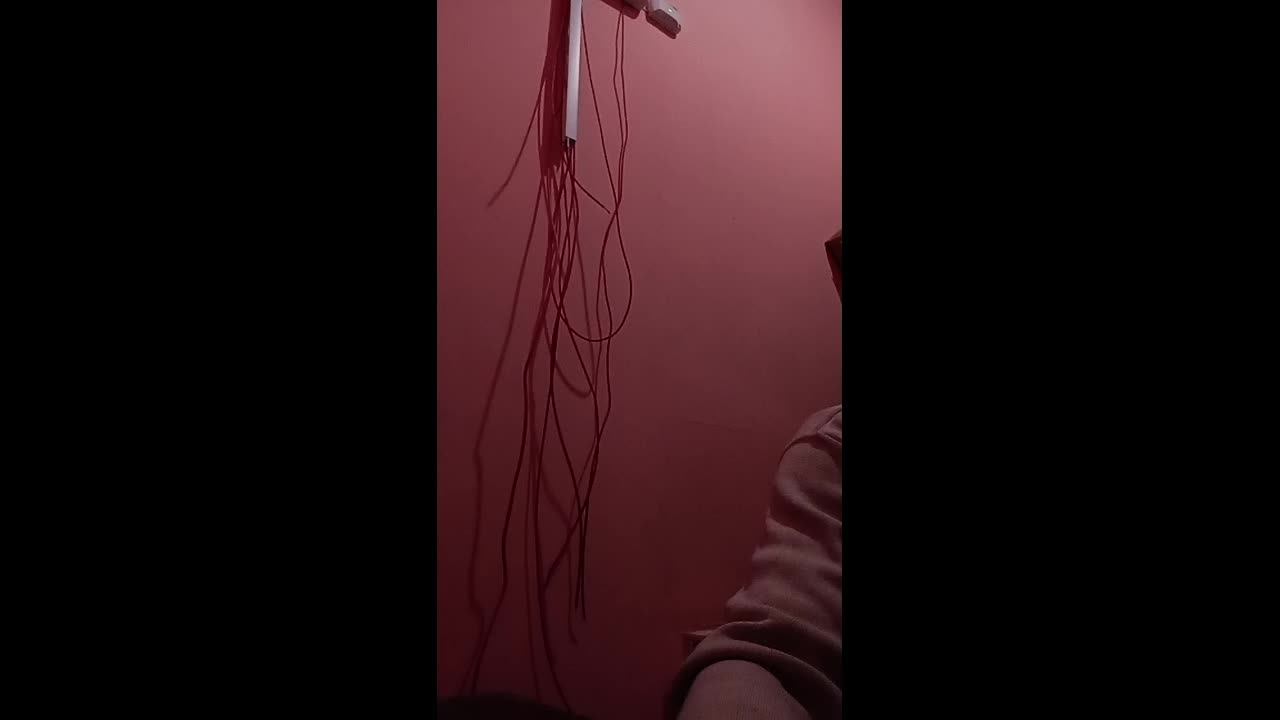 Пчёлы возвращаются