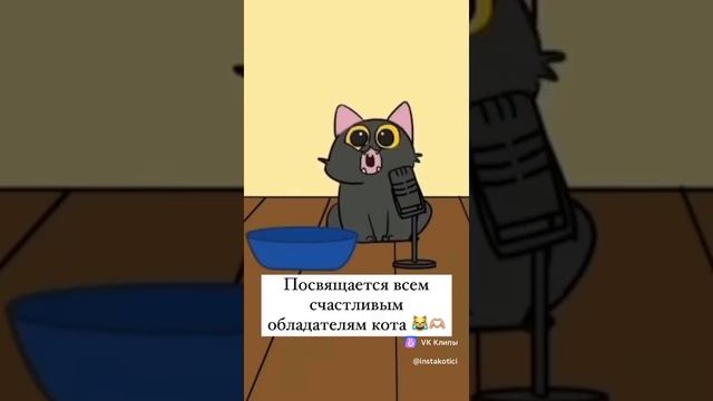 В данном видео сборке, вы увидите  много видео роликов с котами кошками и другими смешными животными