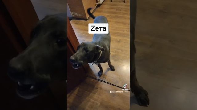 1000090411.mp4