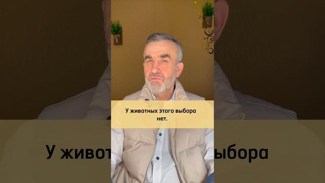 Почему Бог допускает страдания и конфликты