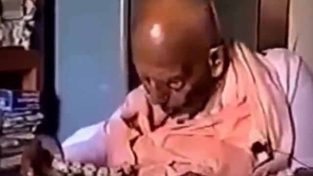 HDG Srila Bhakti Pramode Puri Goswami Thakur - Шрила Бхакти Промод Пури Госвами Тхакур. Пури