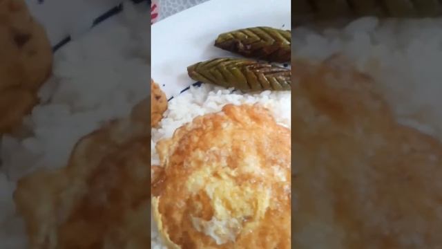 today's lunch plate।।mashed  potato।।patol fry।।egg omelet ।। #shorts #lunch #lunchbox