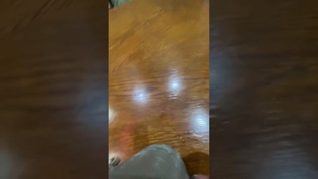 Ветчина домашняя