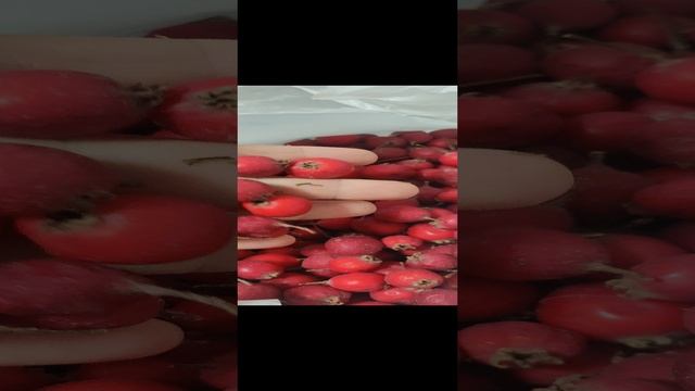 1000019875.mp4