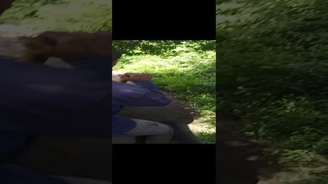 VID_20241003_091157 (1).mp4
