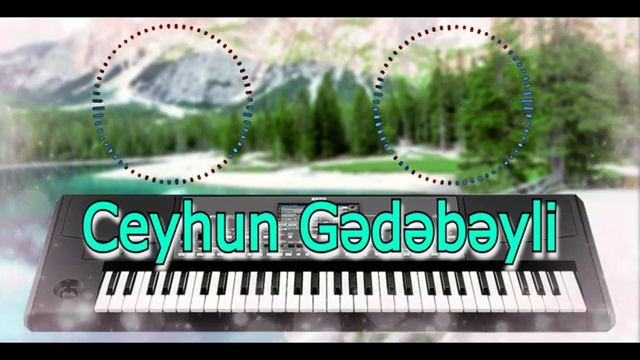 ceyhun gedebeyli
