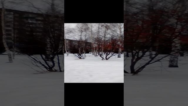 поселок Элеконд