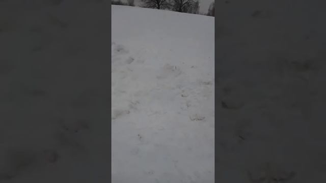 катаемся на ватрушке
