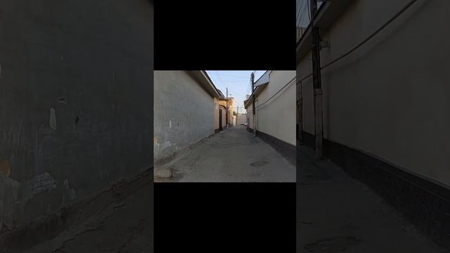 Как живут узбеки? Ферганская долина - что точно нельзя пропустить? Традиции прямо под носом! #short