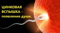 Цинковая вспышка - появление души! НЕОГНОЗИС 5.