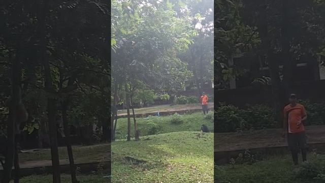 VID_20250106_132728_715.mp4