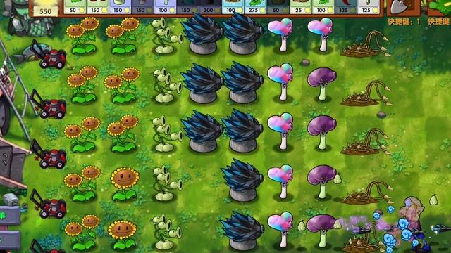 SVID_20250106_131206_1.mp4